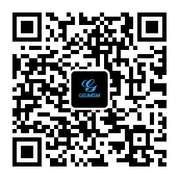 Geumism's VX Icon.jpg